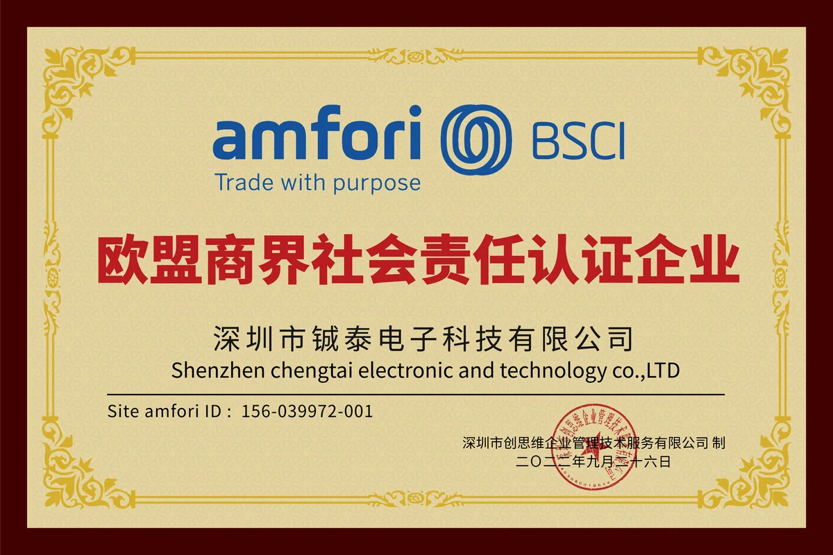 T&G BSCI factory audit certificate