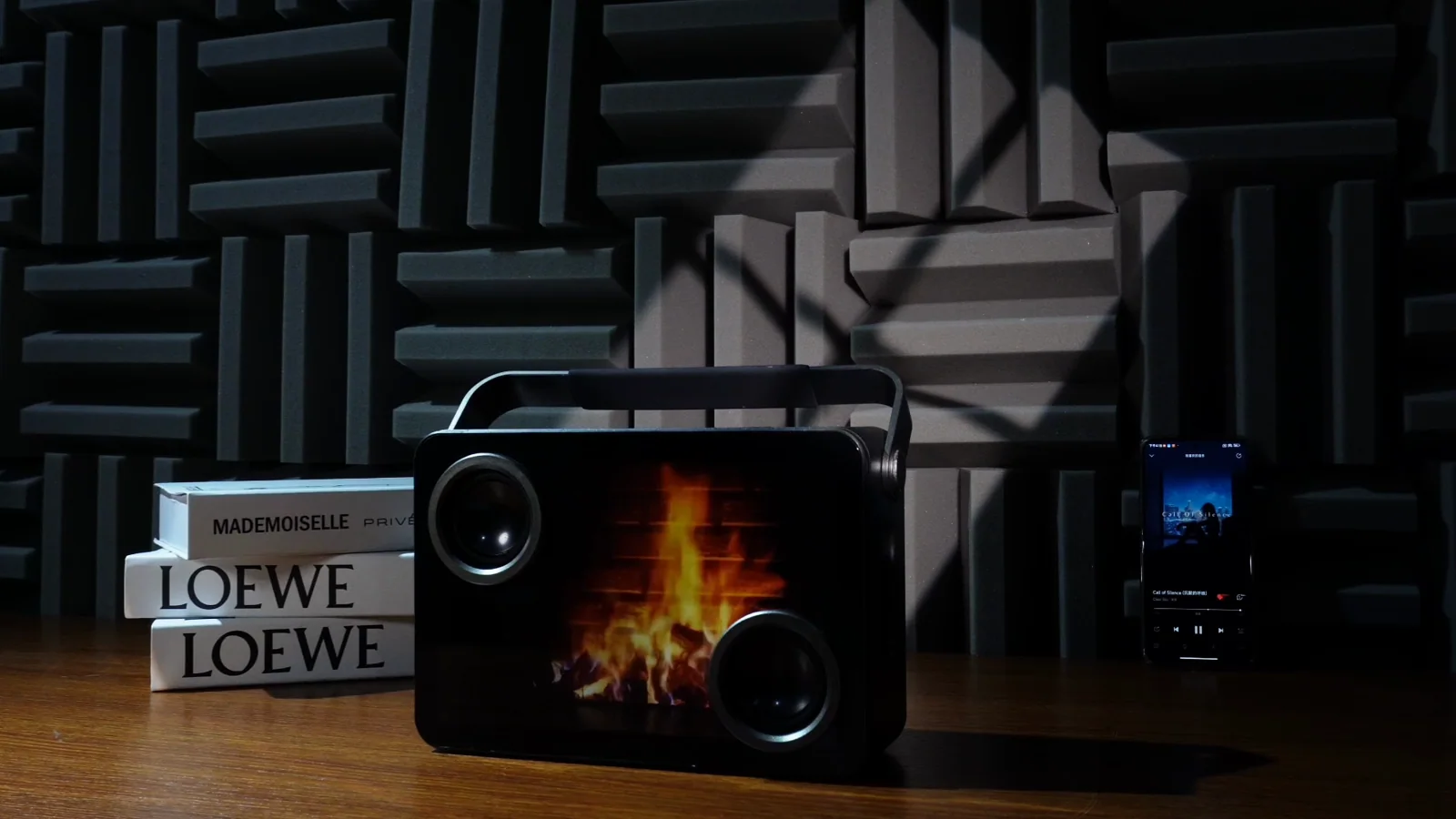 TG482 Bluetooth speaker with visual display for OEM and private label projects